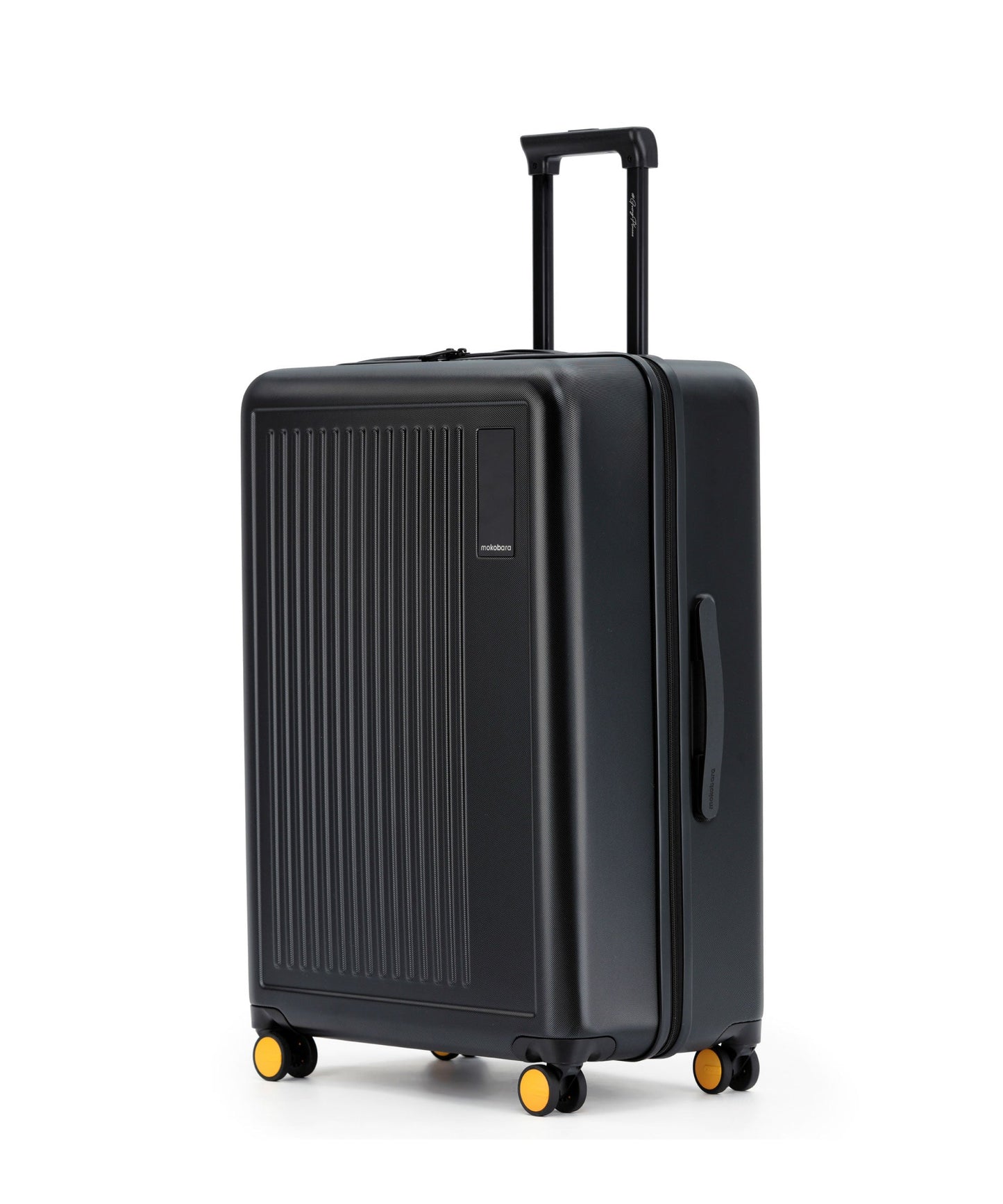 Transit Luggage - Check-in Large - 100L