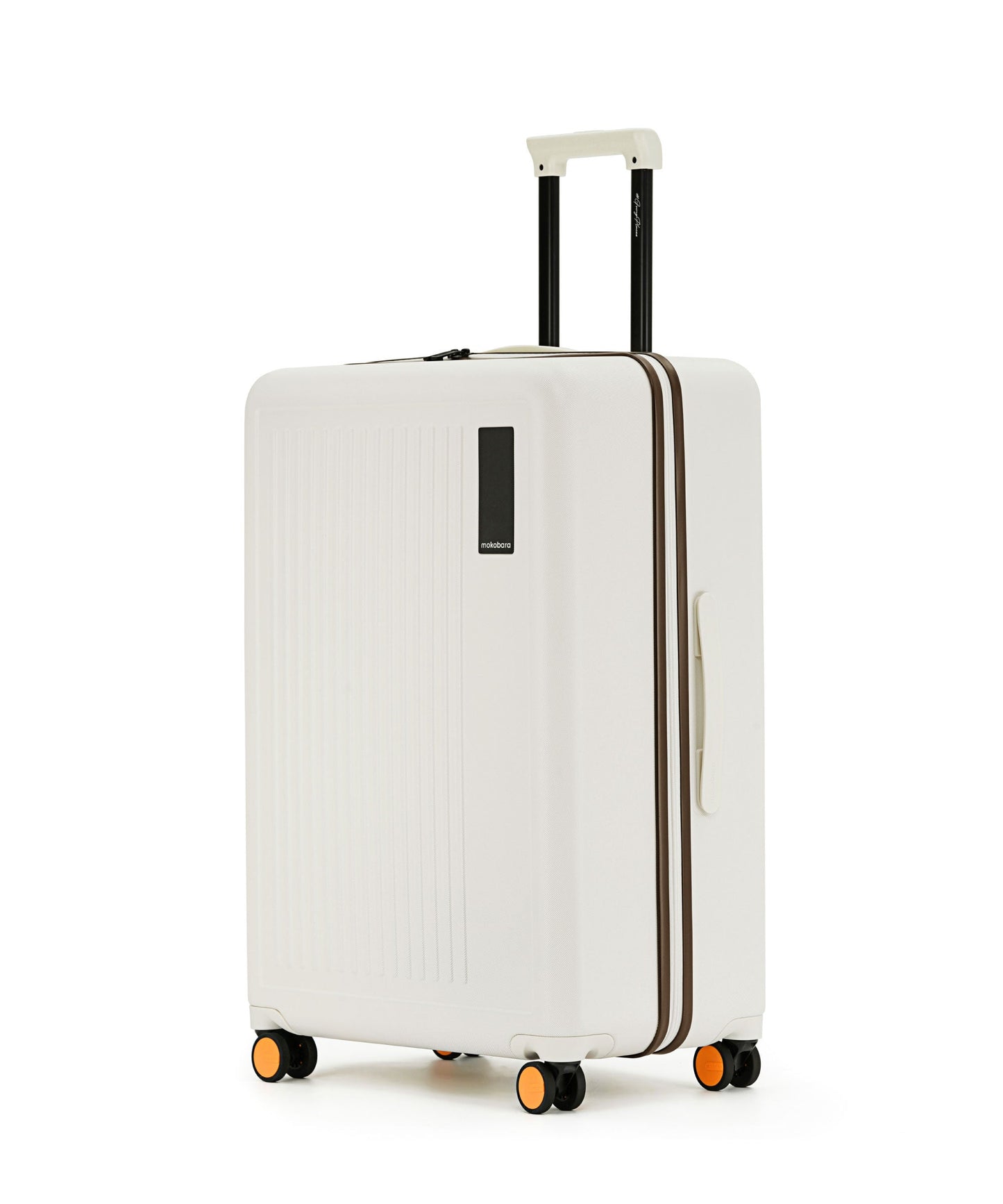 Transit Luggage - Check-in Large - 100L