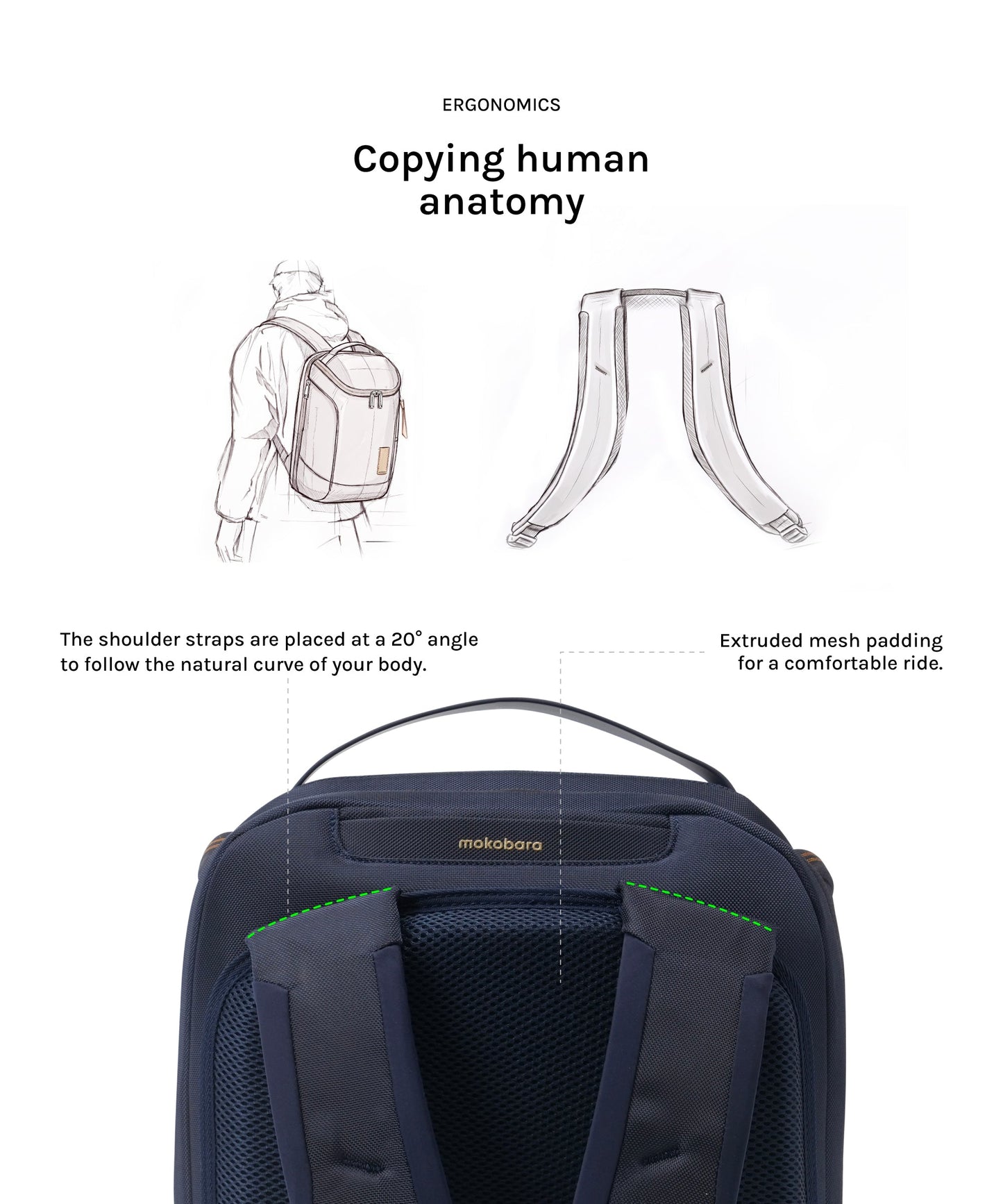 Transit Z Backpack