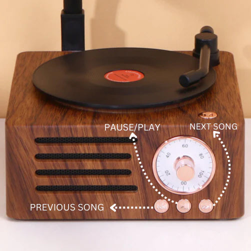 Retro Gramophone Bluetooth Speaker with Rotating Disc