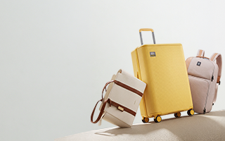Luggage & Bags