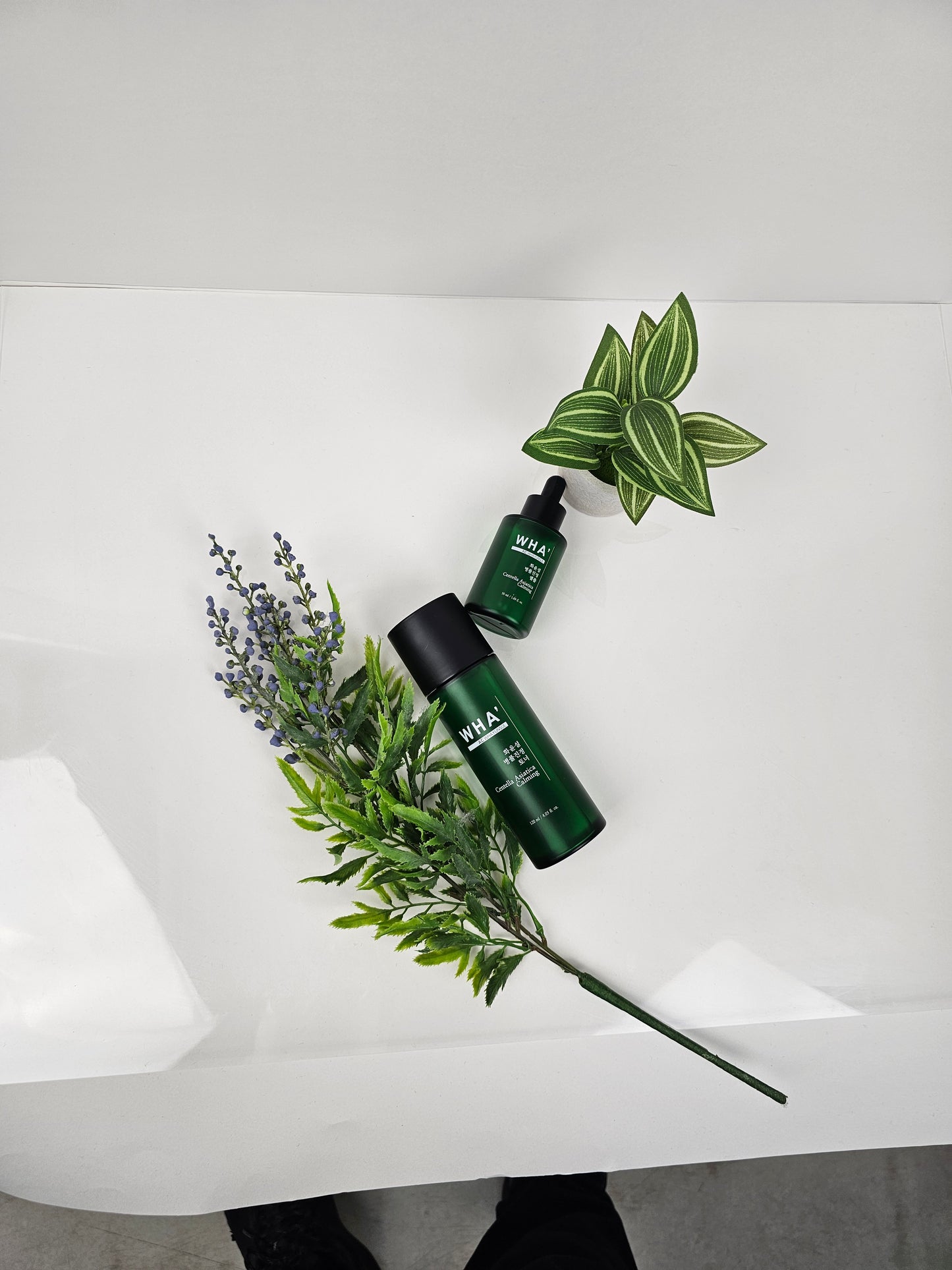 WHA' YUNSUL Centella Asiatica Calming Ampoule