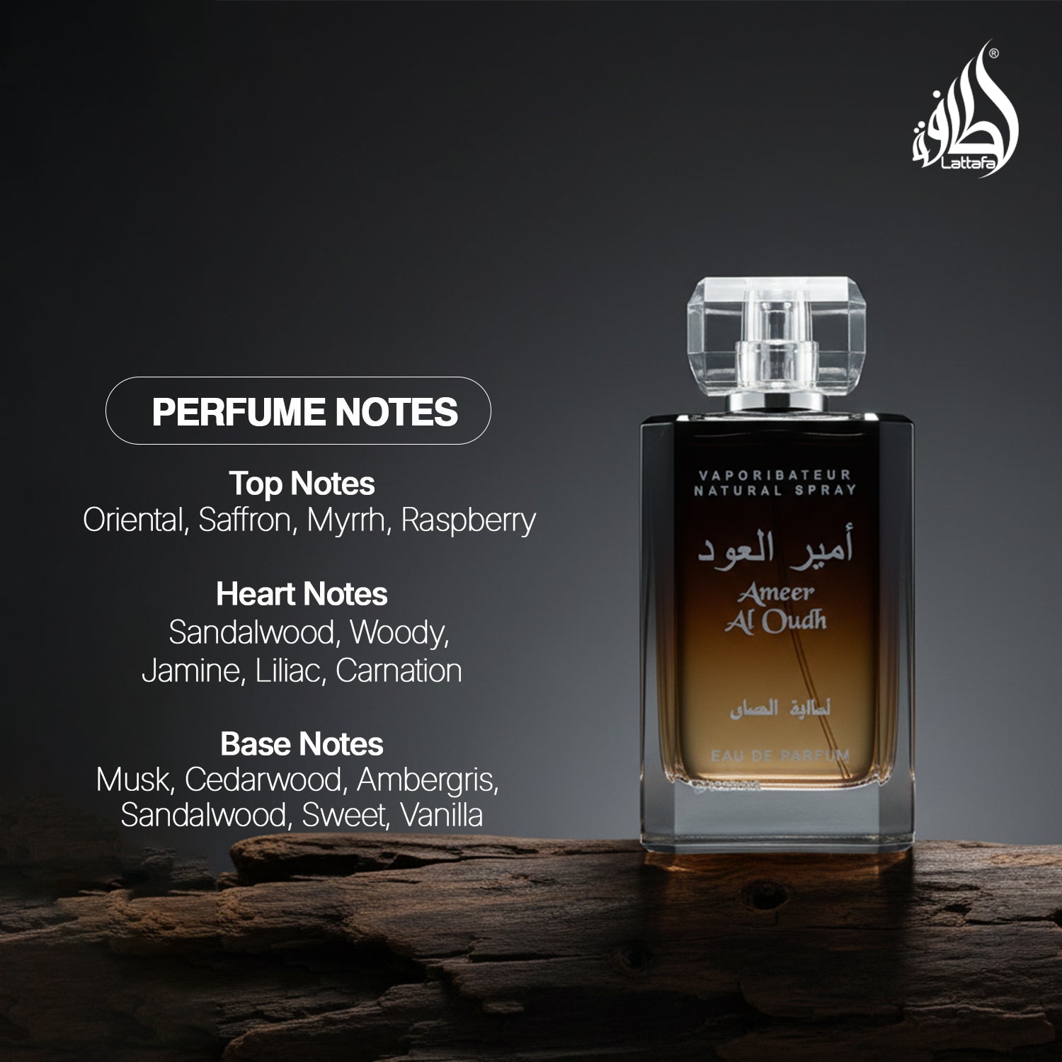 Lattafa Ameer Al Oud Eau De Parfum 100 ml for Men | Lattafa at Broadway