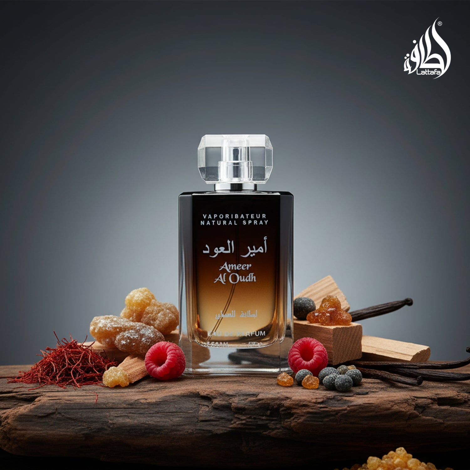 Lattafa Ameer Al Oud Eau De Parfum 100 ml for Men | Lattafa at Broadway