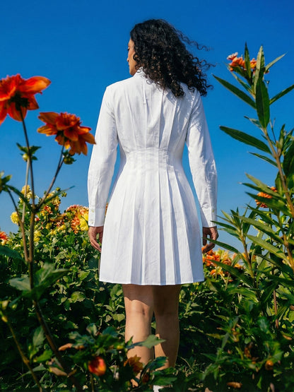 Pearl Pleated Cotton Dress
