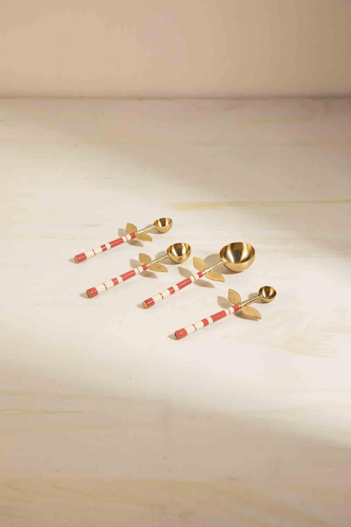 Red Stripe Flowers Steel Measuring Spoon Set