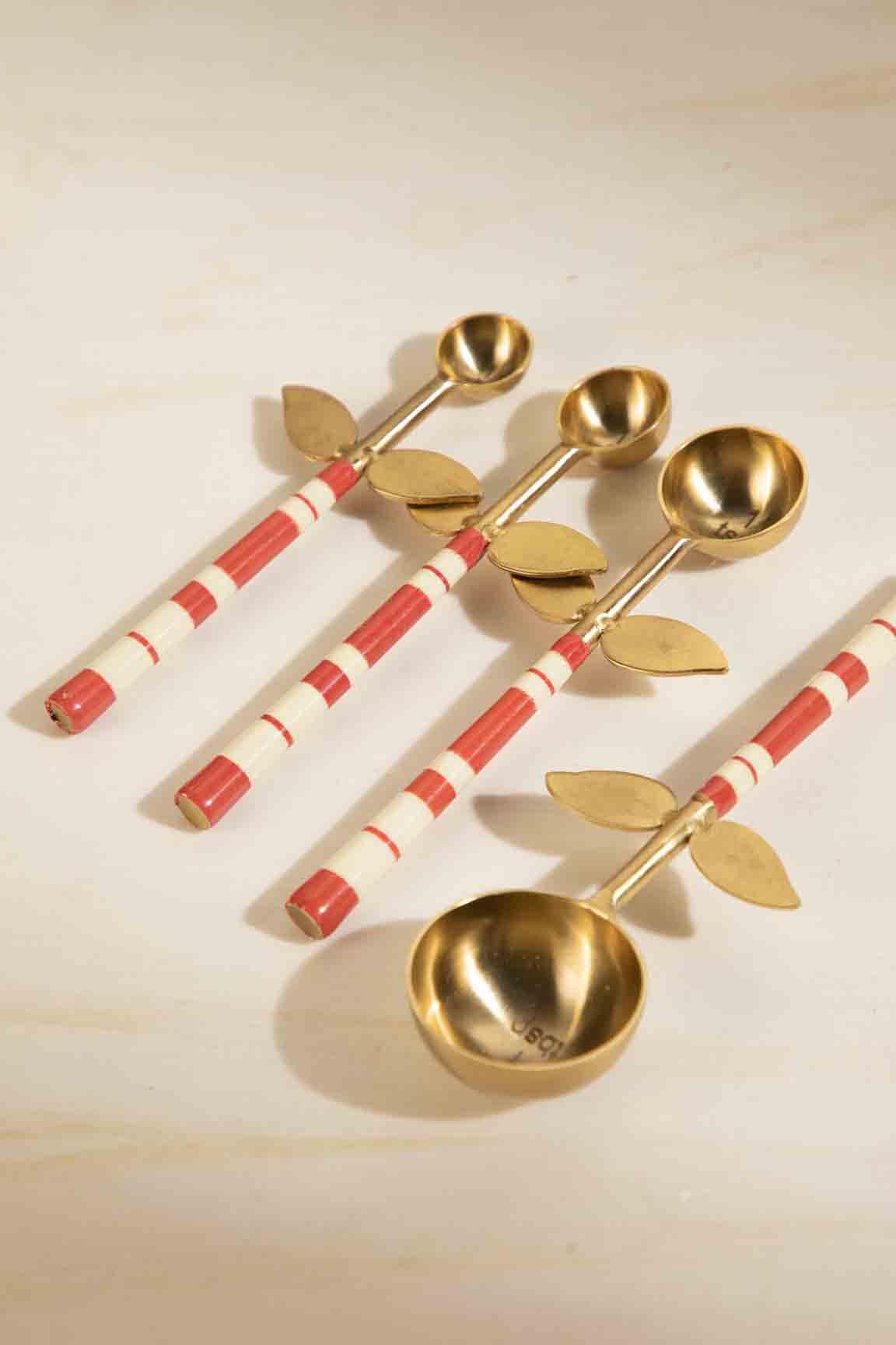 Red Stripe Flowers Steel Measuring Spoon Set