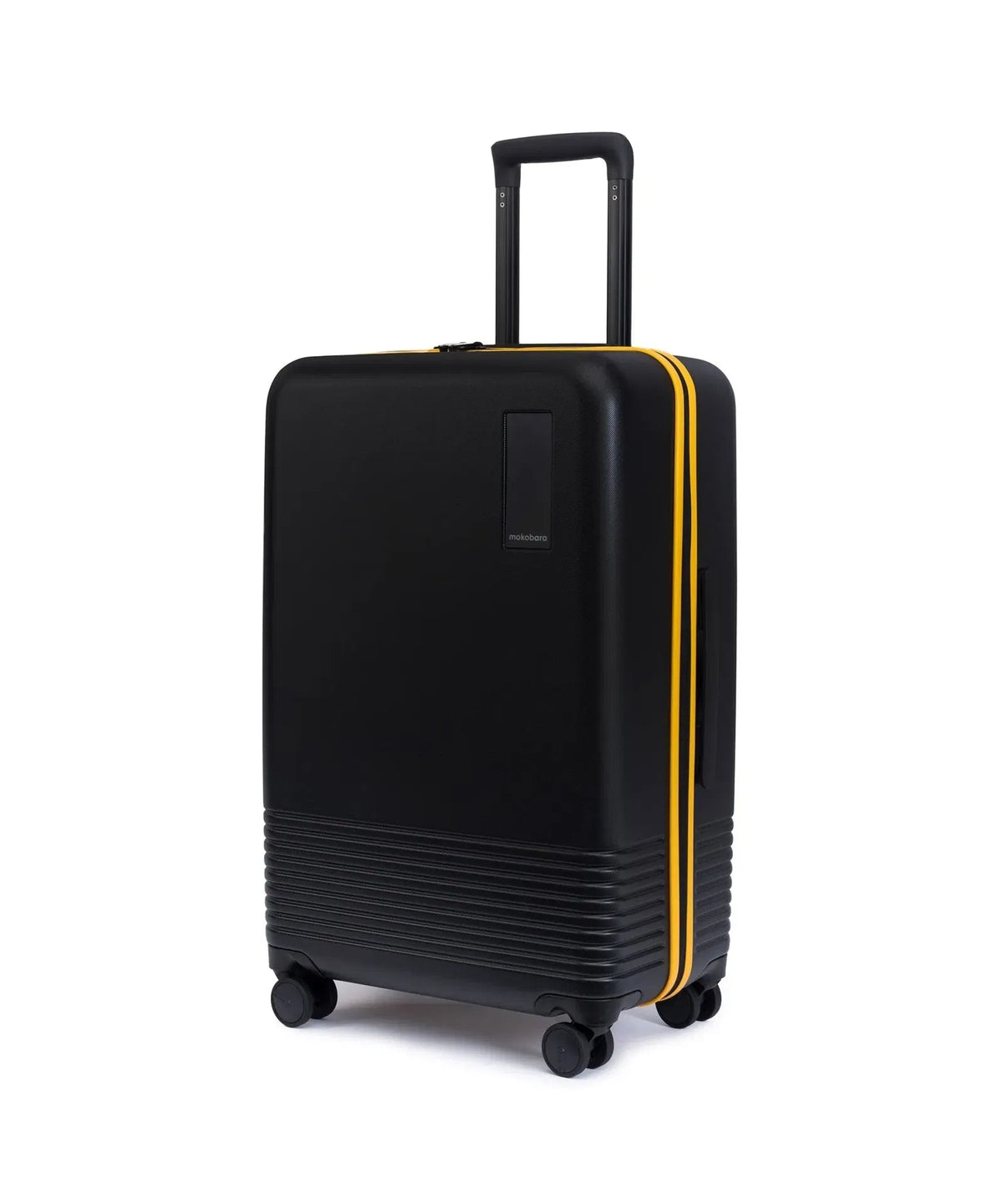 The Check-in Luggage