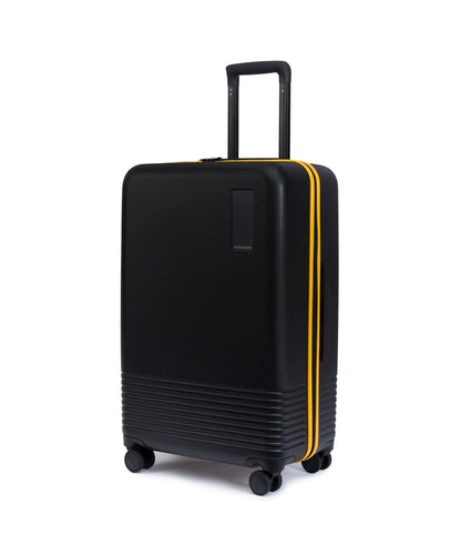 The Check-in Luggage