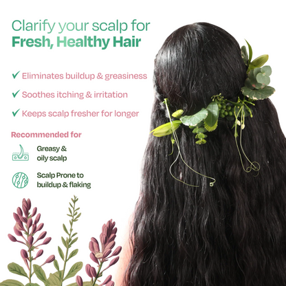 Clarifying Scalp Detox Mask for Oily & Greasy Scalp Herbal Hair Mask for Buildup & Itch (200g) | Sacred Grove at Broadway