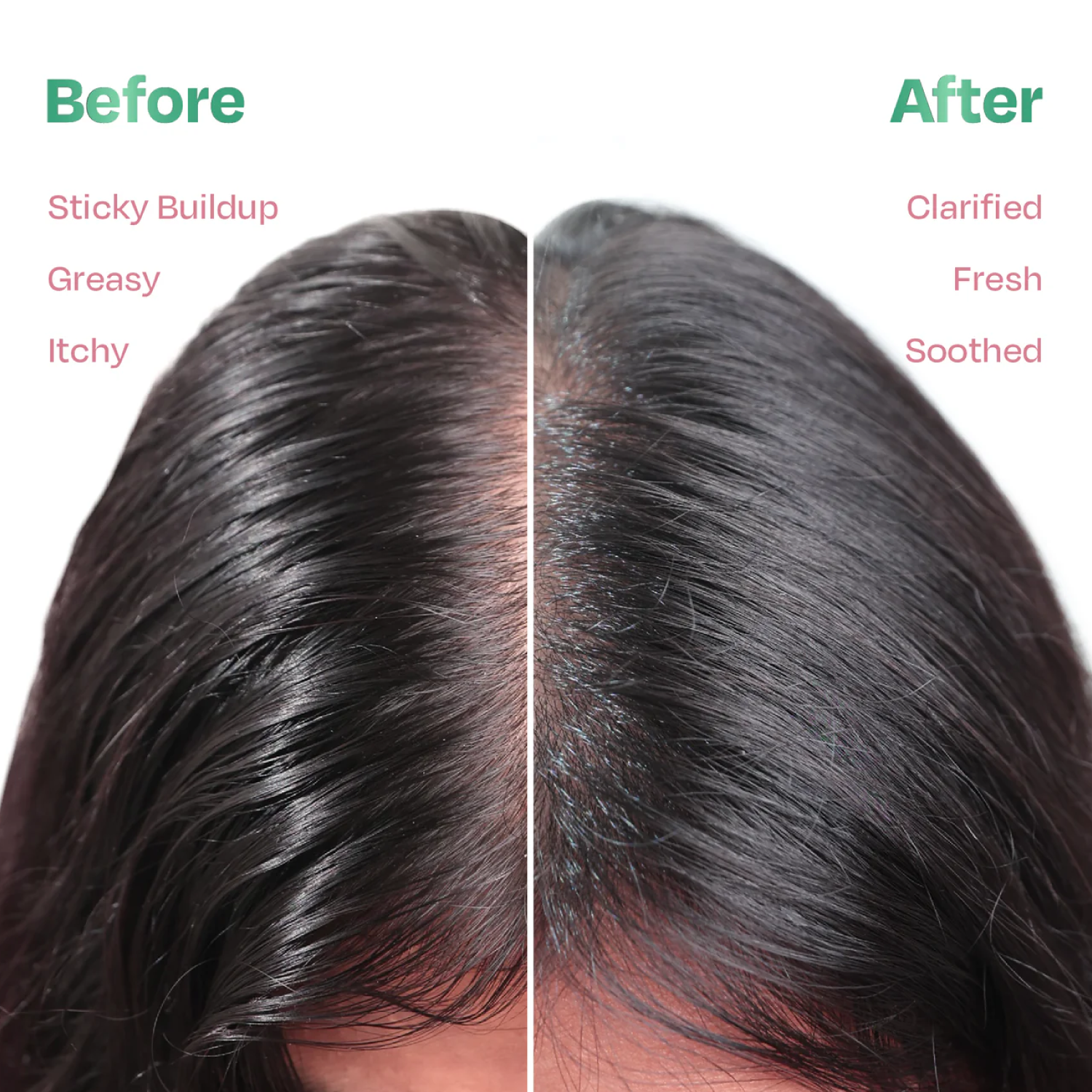 Clarifying Scalp Detox Mask for Oily & Greasy Scalp Herbal Hair Mask for Buildup & Itch (200g) | Sacred Grove at Broadway