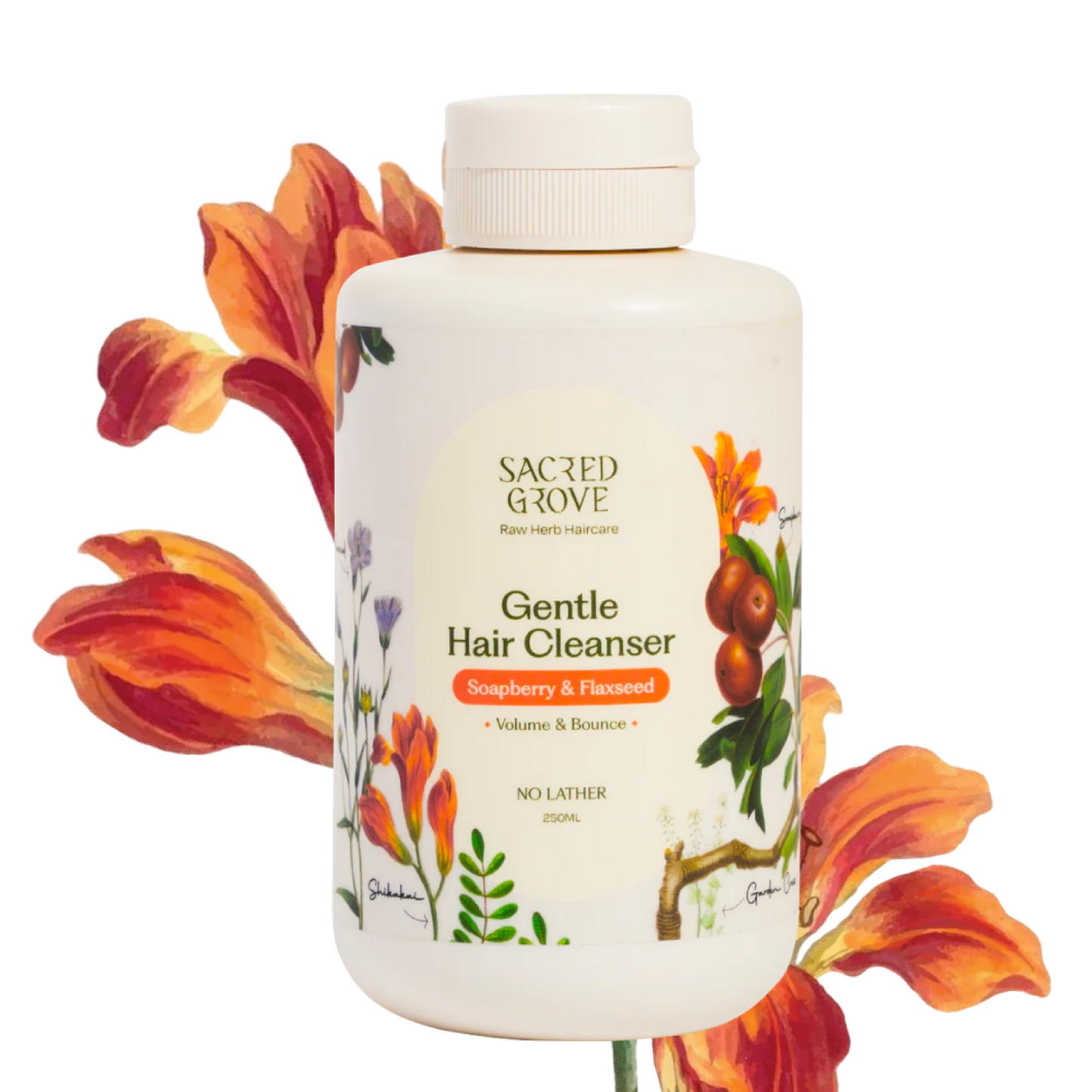 Hair Cleanser with Reetha Argan Herbal Shampoo 100% Raw Herb No Chemicals No Lather (250ml) | Sacred Grove at Broadway