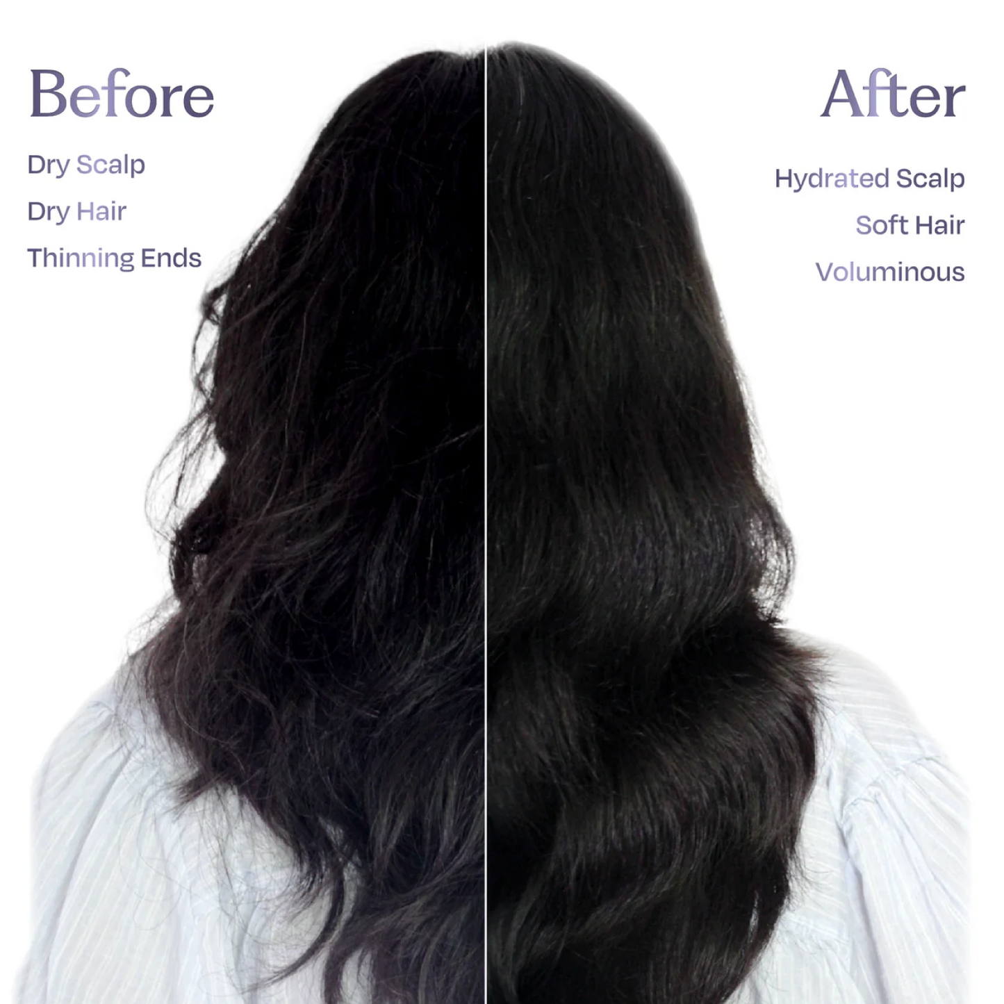 Herbal Shampoo for Frizzy Dry Hair Gentle Natural Shampoo for Hair Fall Control (250ML) | Sacred Grove at Broadway