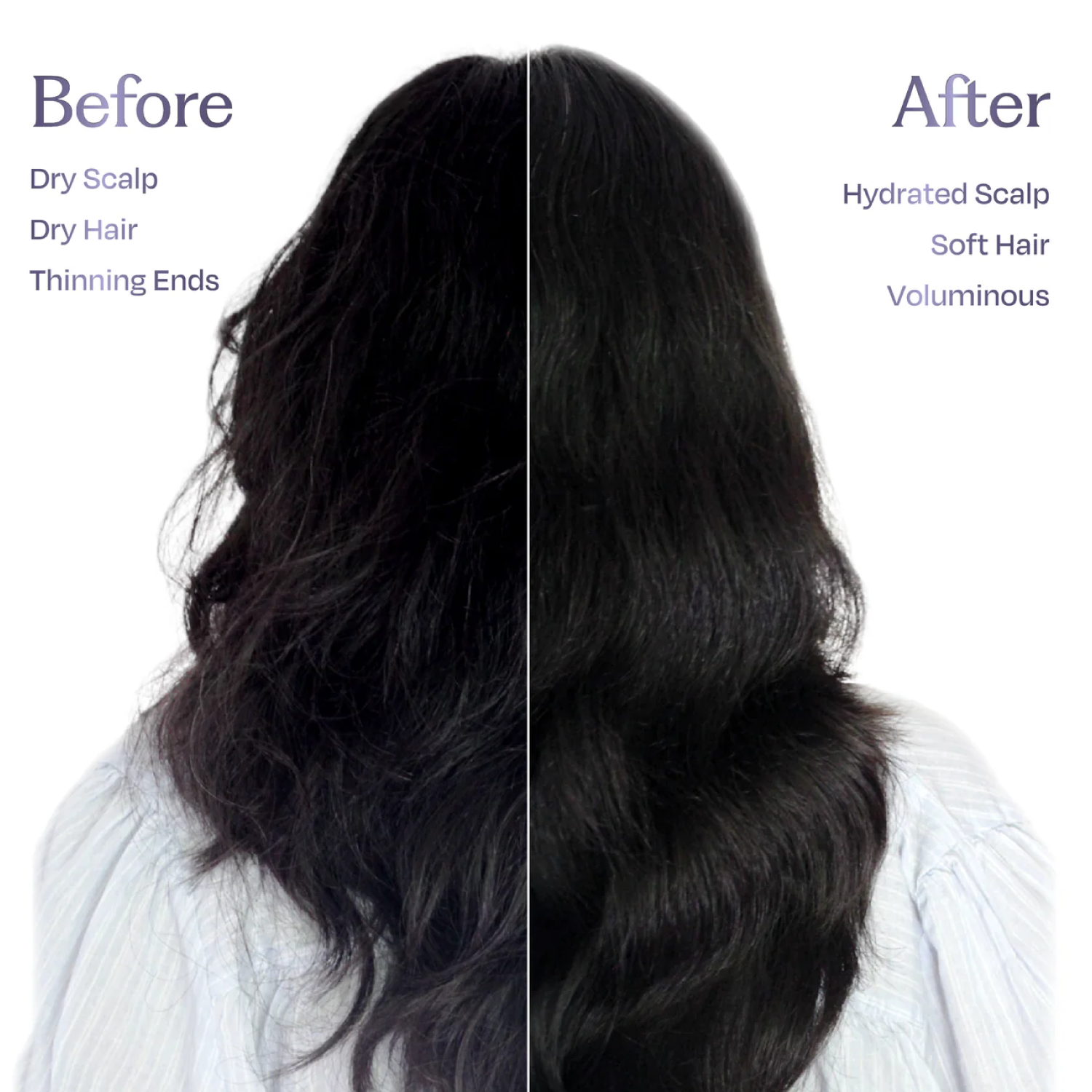 Herbal Shampoo for Frizzy Dry Hair Gentle Natural Shampoo for Hair Fall Control (250ML) | Sacred Grove at Broadway