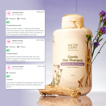 Herbal Shampoo for Frizzy Dry Hair Gentle Natural Shampoo for Hair Fall Control (250ML) | Sacred Grove at Broadway
