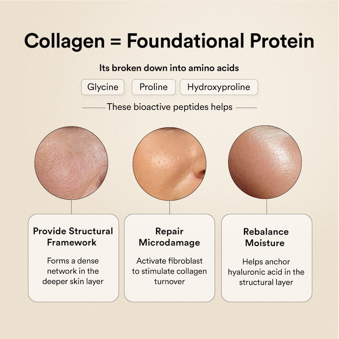 Marine Collagen | Wellbeing Nutrition at Broadway