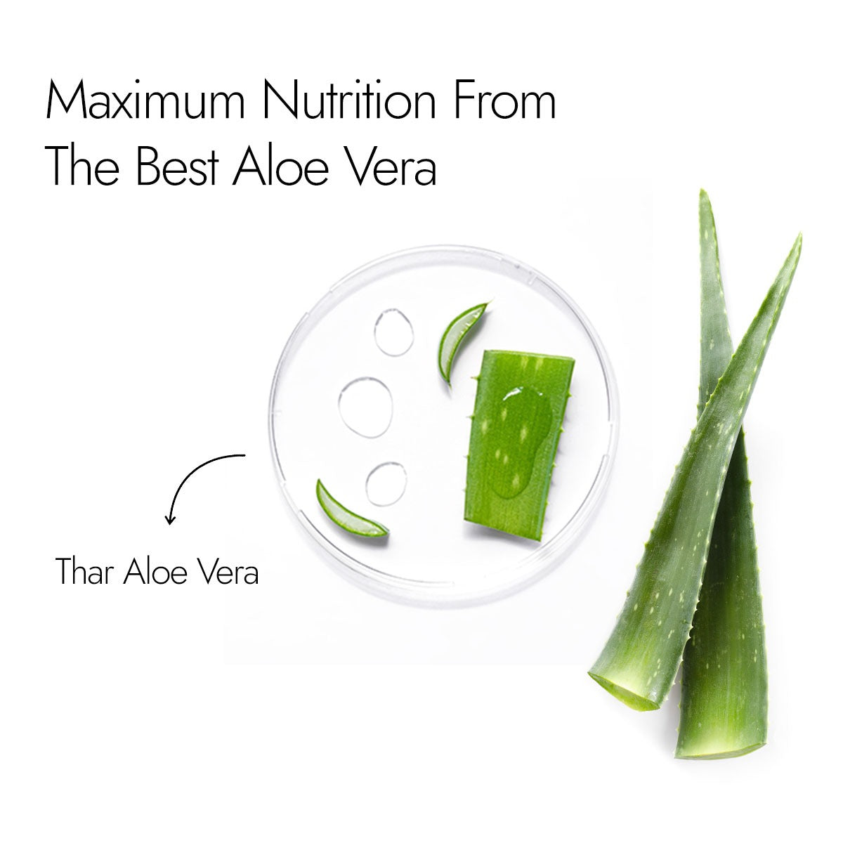 Kapiva Aloe Vera Skin Gel | Kapiva at Broadway