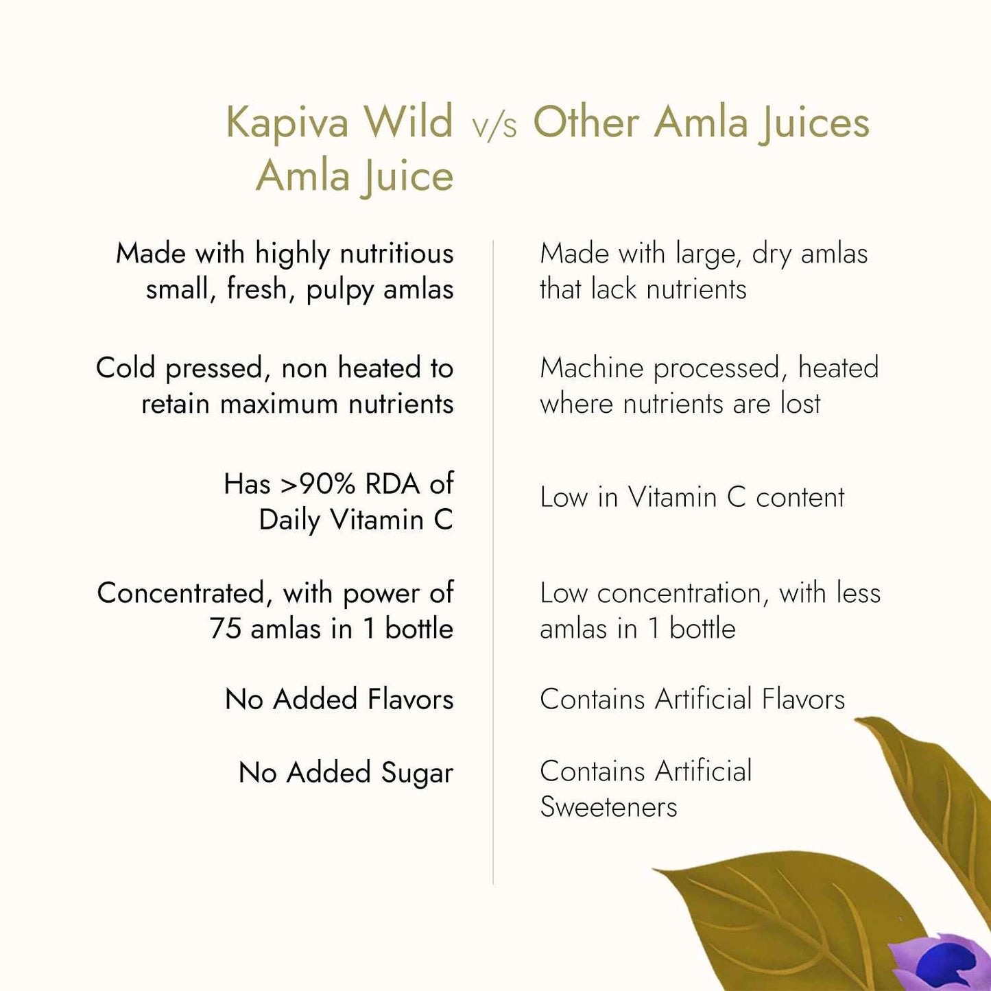 Kapiva Amla Juice 1L Box | Kapiva at Broadway