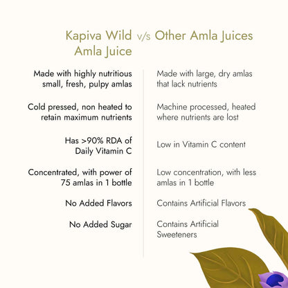 Kapiva Amla Juice 1L Box | Kapiva at Broadway