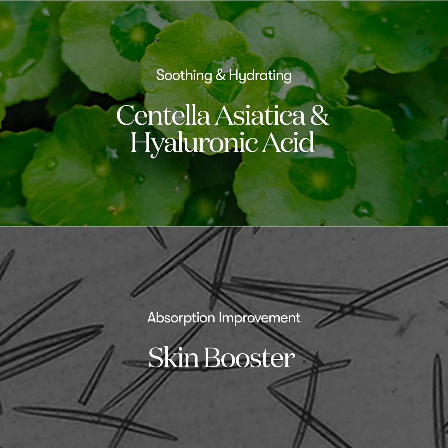 VT REEDLE SHOT 300