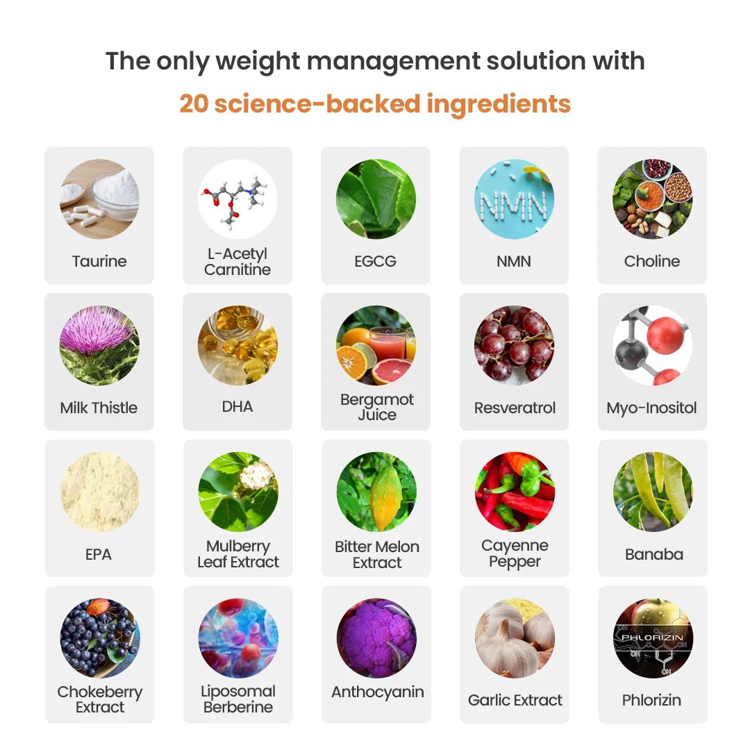 Fat Metabolism Boost