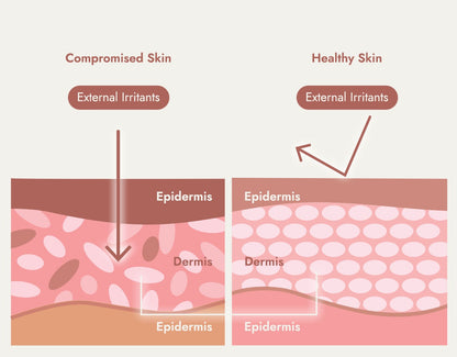 Kapiva Aloe Vera Skin Gel | Kapiva at Broadway