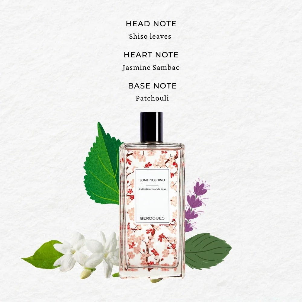 SOMEI YOSHINO 100 ML | BERDOUES at Broadway