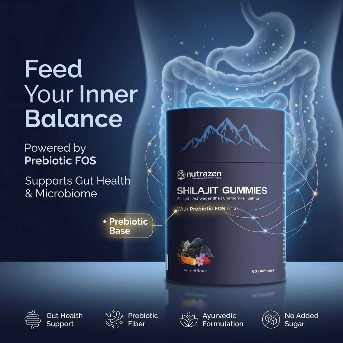 Shilajit Gummies