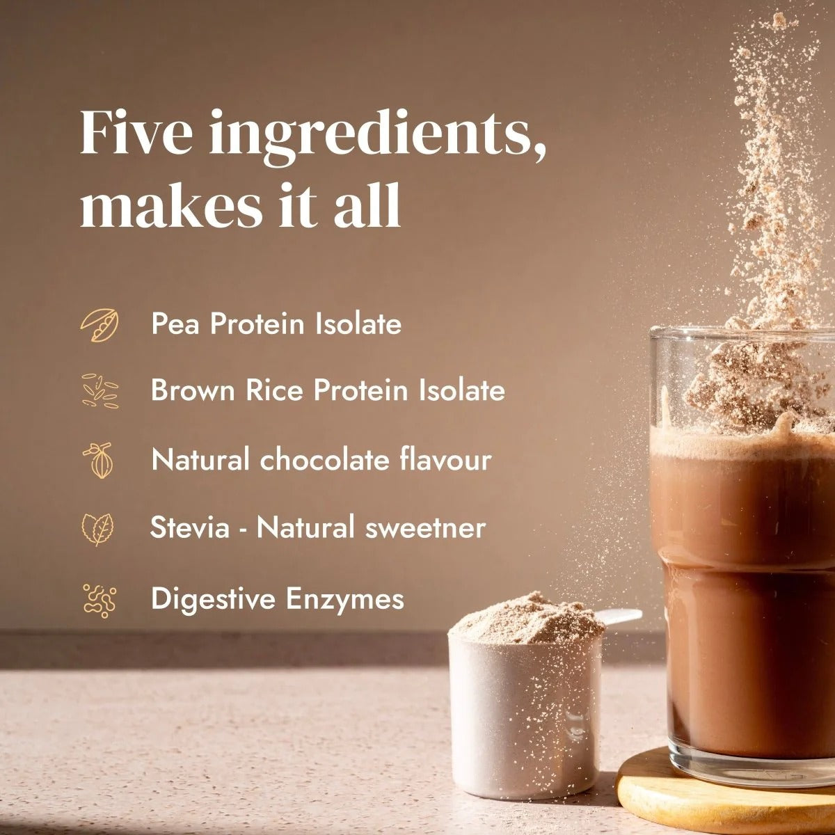 Shyft-Sports Nutrition and Fitness-Protein-Plant Protein-Natural Cocoa - 500 gms-Black-Natural Cocoa | Shyft at Broadway