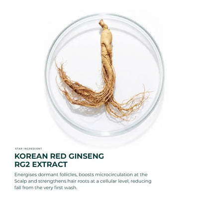 SH-RD Red-Ginseng Hair-Activating Shampoo
