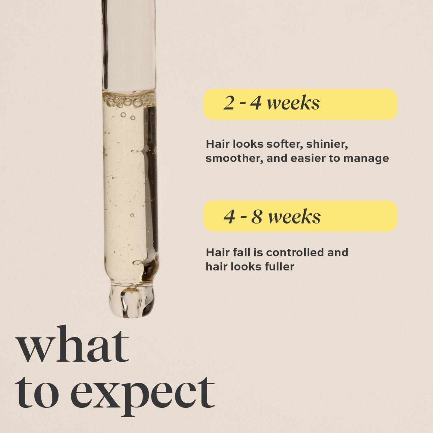 Champi Hair Oil | indē wild at Broadway