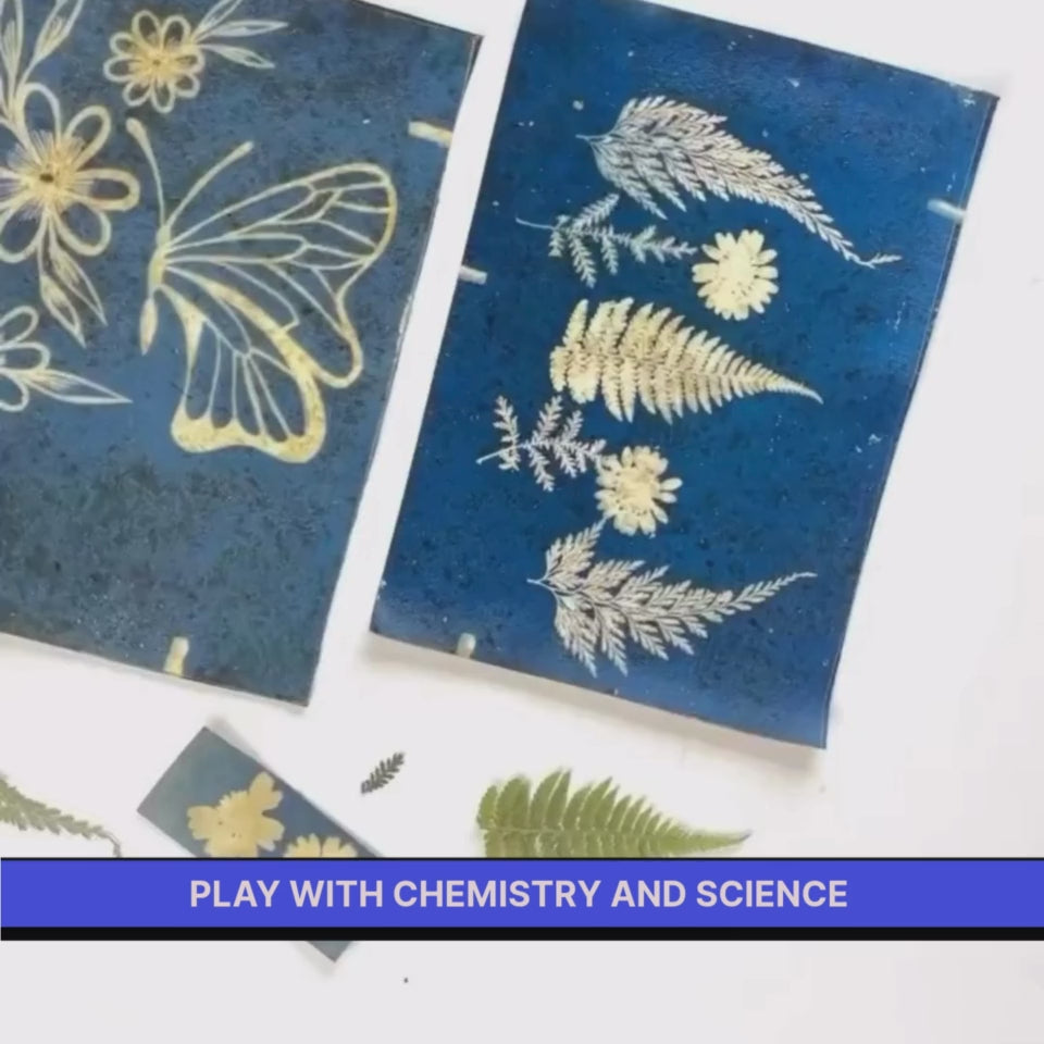 DIY Solar Printing Kit | Kitsters at Broadway