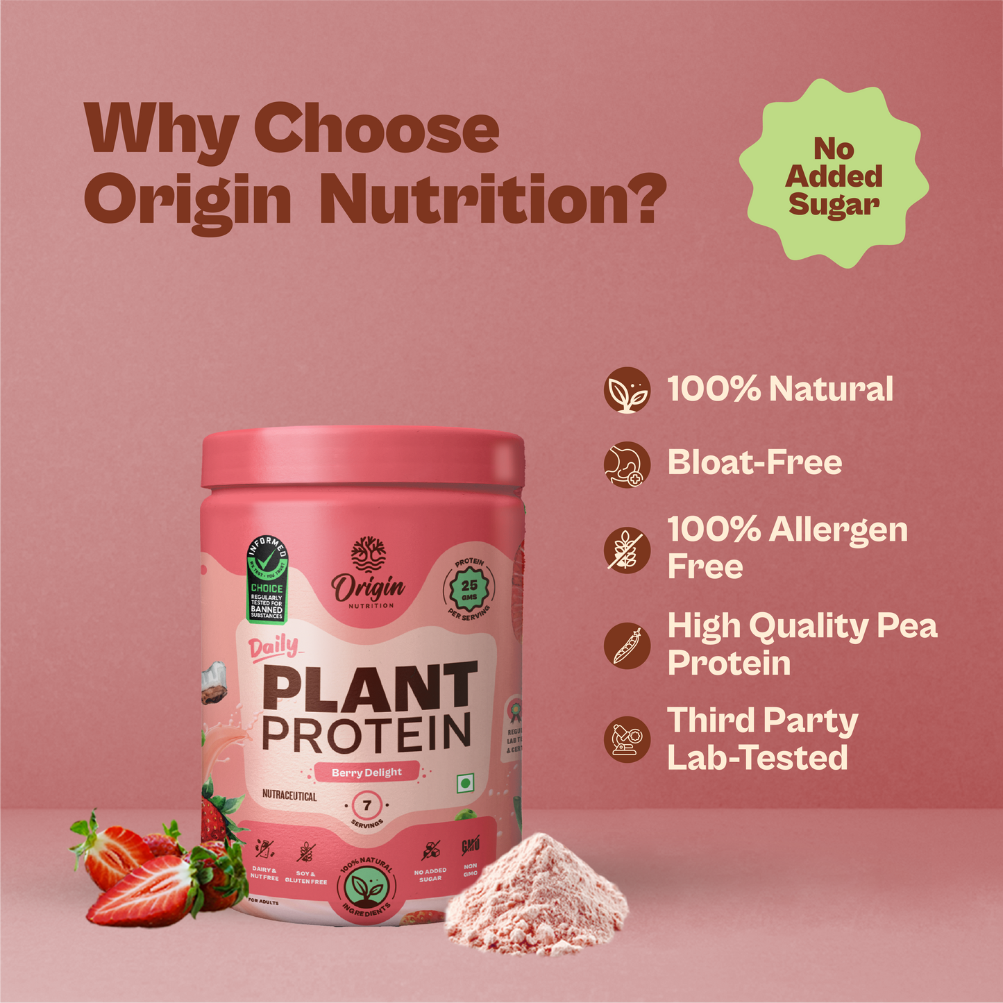 Origin Nutrition Daily Plant Protein  Strawberry Delight