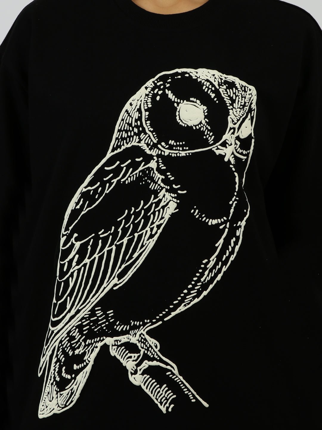 The Enchanted Owl T-Shirt | No Nazar at Broadway