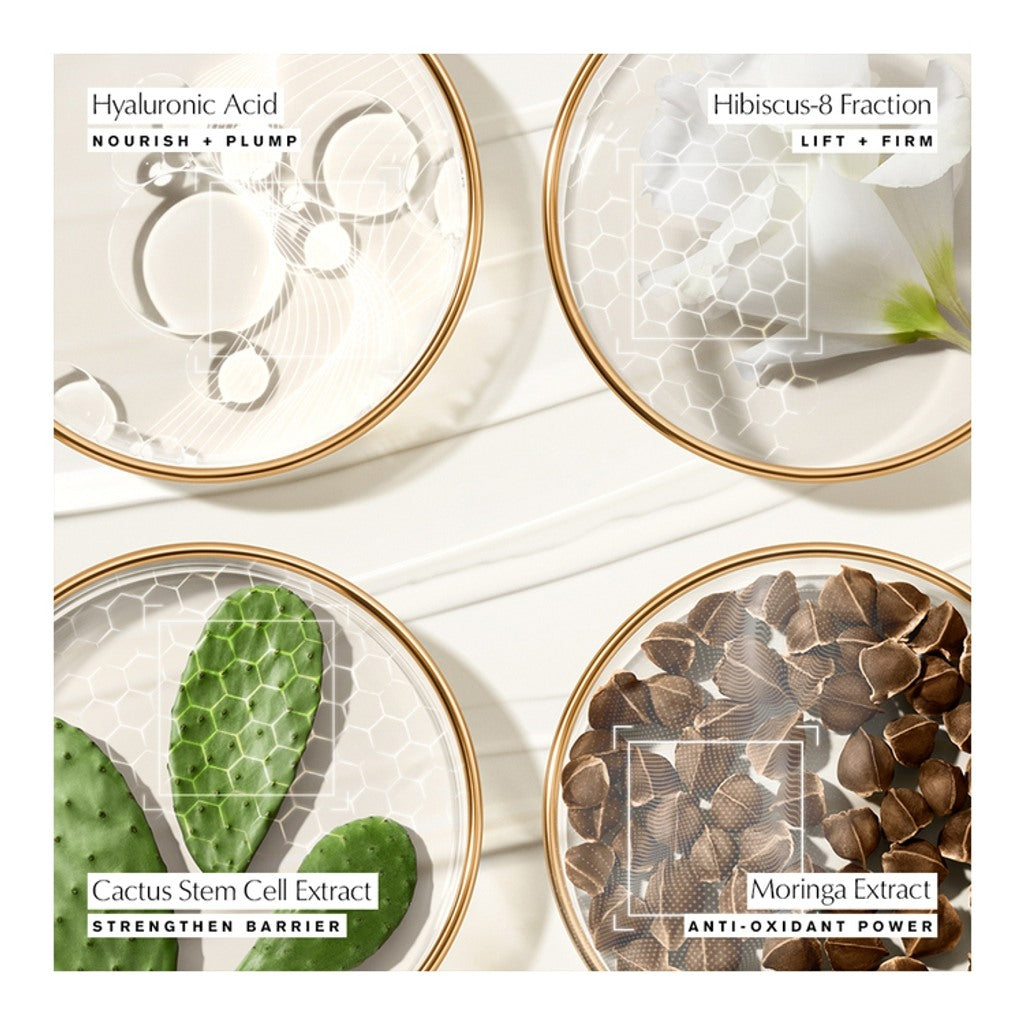 REVITALIZING SUPREME+ YOUTH POWER SOFT CRÈME  - 50 ML | ESTEE LAUDER at Broadway